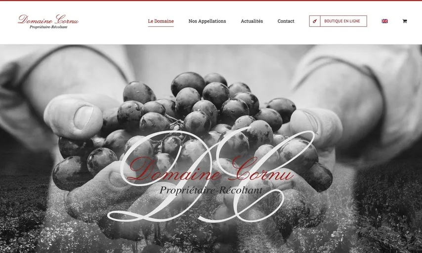 Aperçu du site de Domaine Cornu