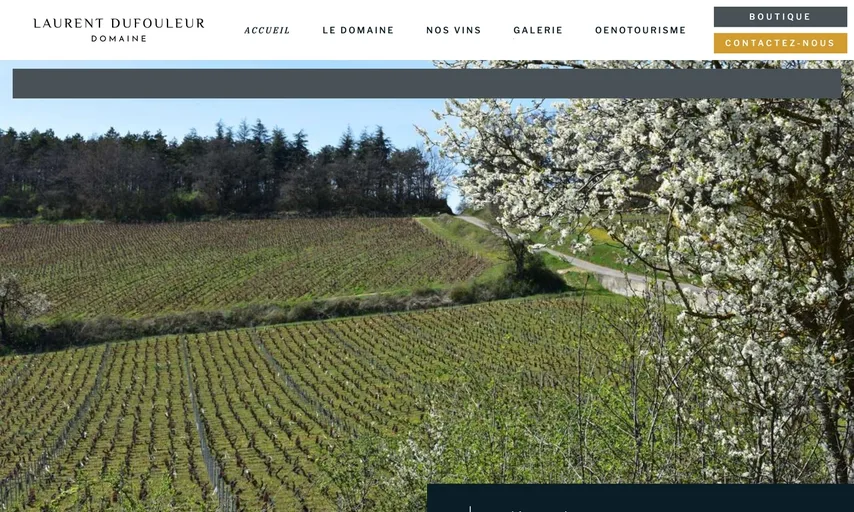 Aperçu du site de Domaine Dufouleur Laurent