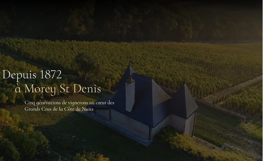 Aperçu du site de Domaine Ponsot