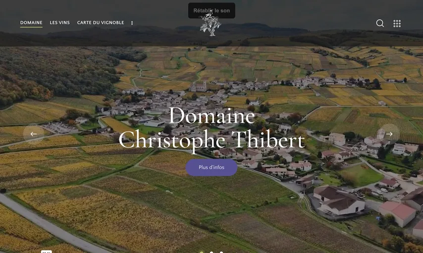 Aperçu du site de Domaine Thibert