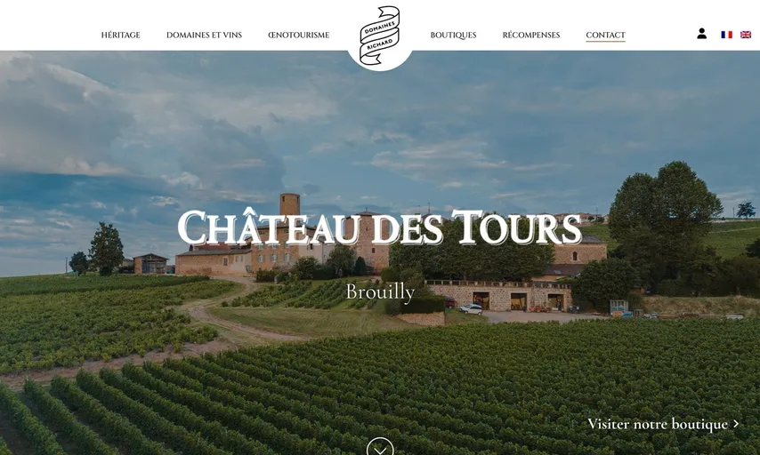 Aperçu du site de Château des Tours