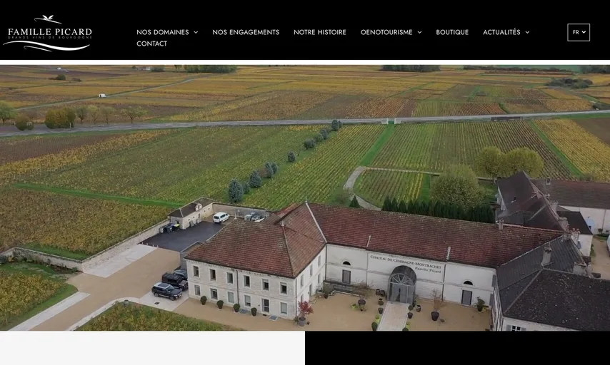 Aperçu du site de Domaines Famille Picard