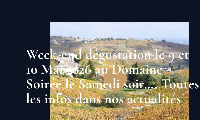 Aperçu du site de Domaine Lathuilière Gravallon